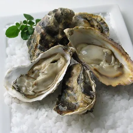 Les Iles Vue Sur Apartament Agon-Coutainville